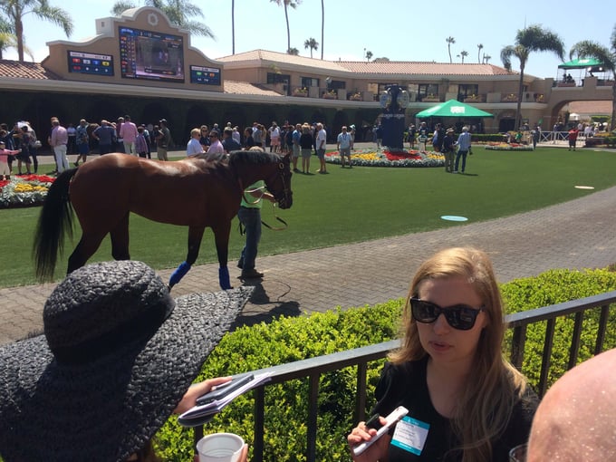 SmartBugs at the horse track