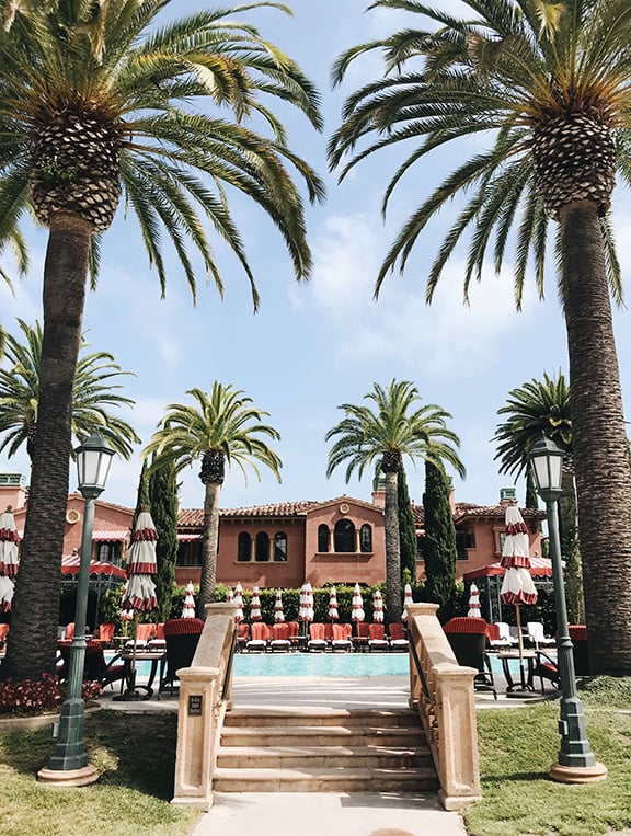 palm tree entrance to the beach