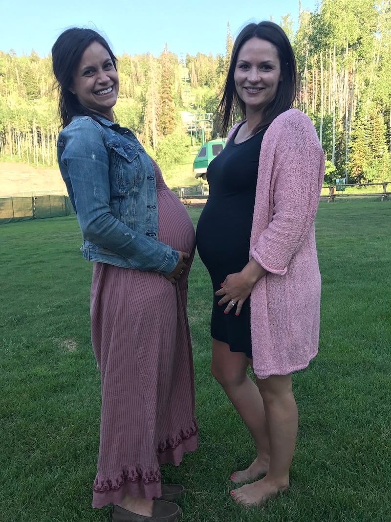 two pregnant SmartBugs