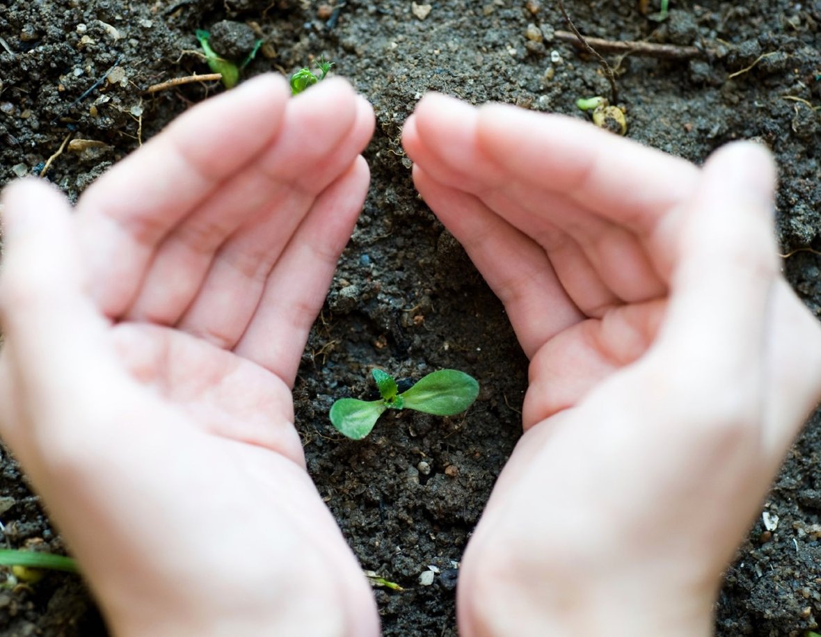 How to Encourage a Culture of Content within Your Organization