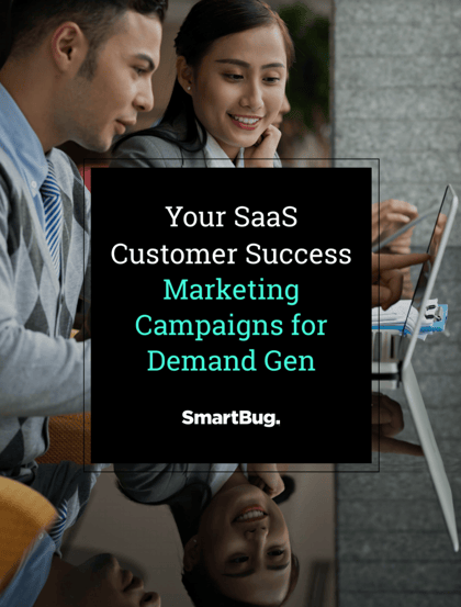 SaaS Customer Success Marketing Campaigns cover