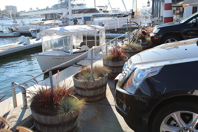 boats