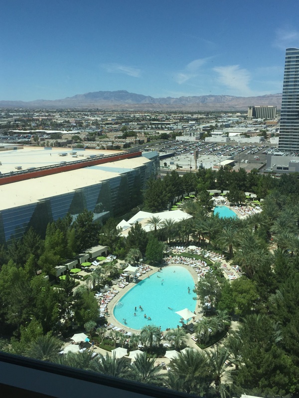 overhead view of the pool