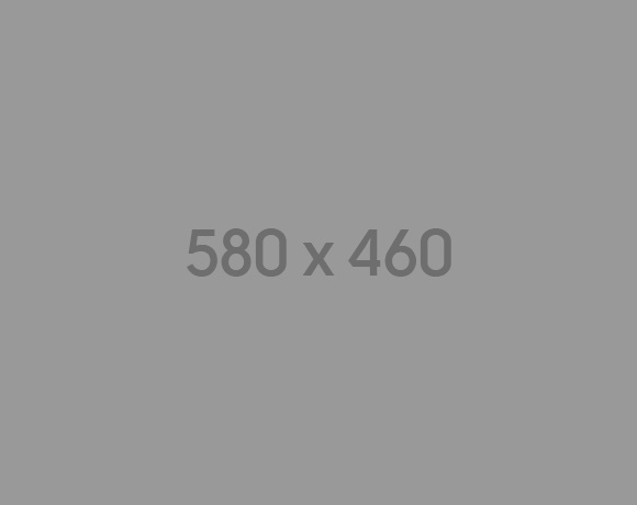 550x450